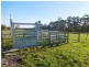 Lot 3 Stennings Road, Wynyard TAS 7325