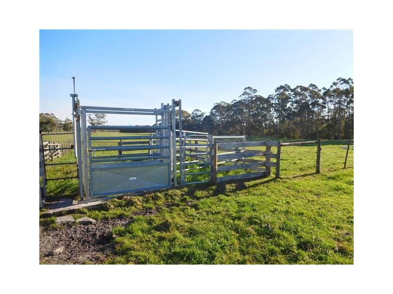 Lot 3 Stennings Road, Wynyard TAS 7325
