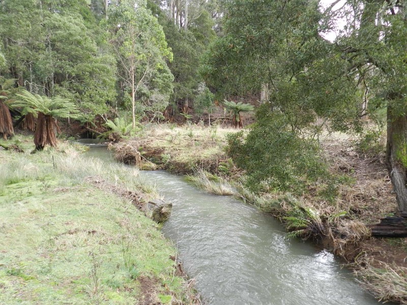 1153 Deep Creek Road, Mount Hicks TAS 7325