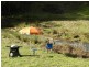 1153 Deep Creek Road, Mount Hicks TAS 7325