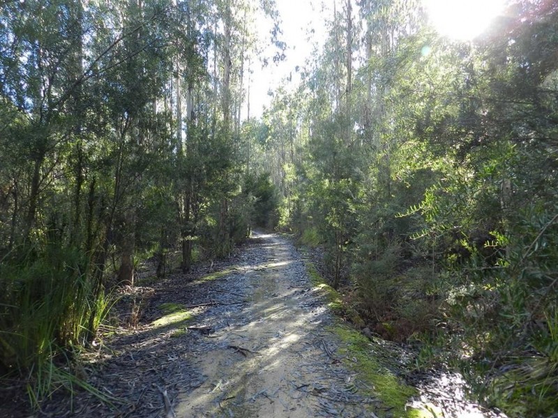334 Upper Natone Road, Natone TAS 7321