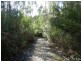 334 Upper Natone Road, Natone TAS 7321