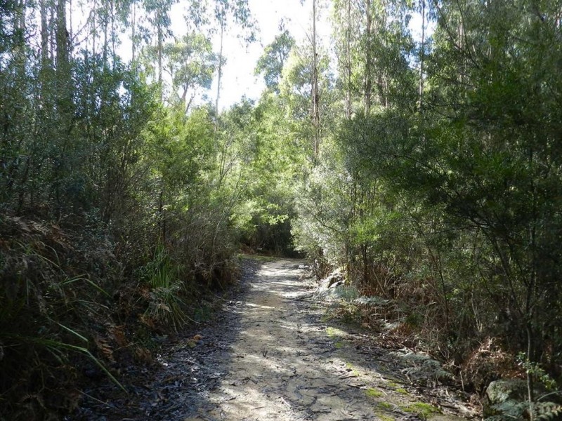 334 Upper Natone Road, Natone TAS 7321