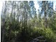 334 Upper Natone Road, Natone TAS 7321