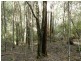 334 Upper Natone Road, Natone TAS 7321