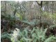 334 Upper Natone Road, Natone TAS 7321