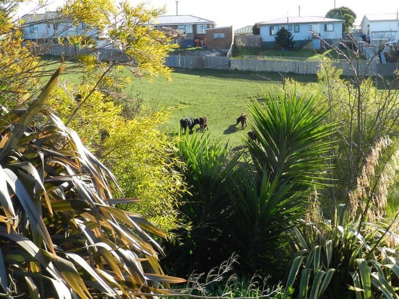 12 Nelson Street, Acton TAS 7320