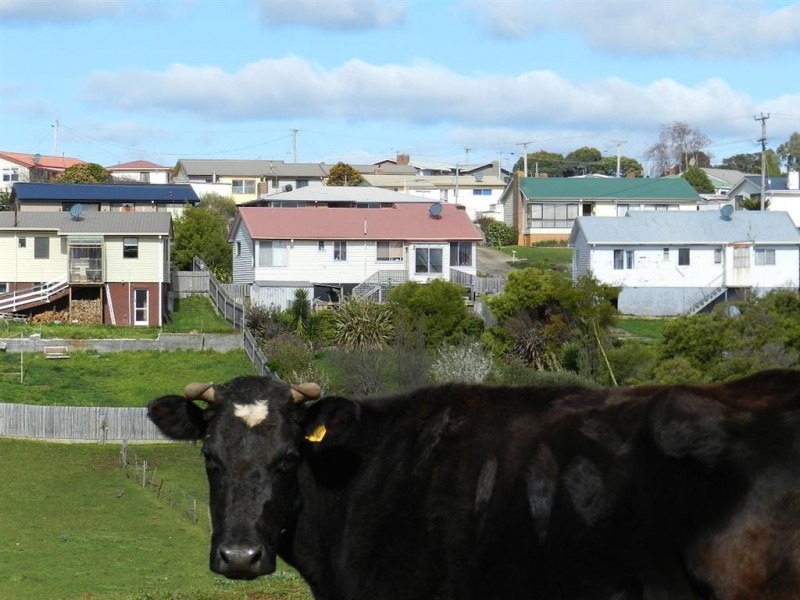 12 Nelson Street, Acton TAS 7320