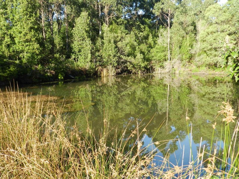 1004 West Calder Road (Takone end), Calder TAS 7325