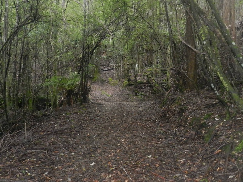 1004 West Calder Road (Takone end), Calder TAS 7325