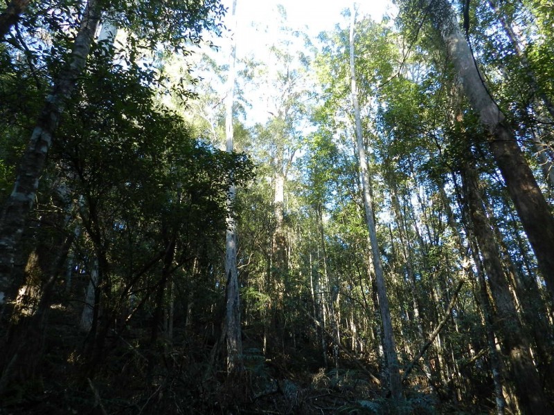 1004 West Calder Road (Takone end), Calder TAS 7325