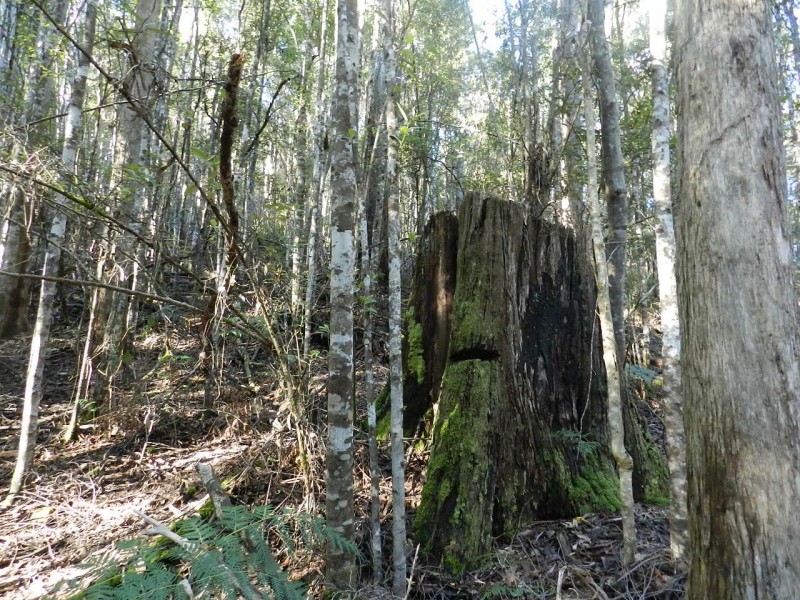 1004 West Calder Road (Takone end), Calder TAS 7325