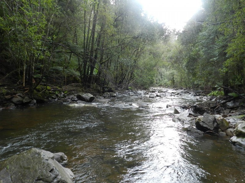 1004 West Calder Road (Takone end), Calder TAS 7325