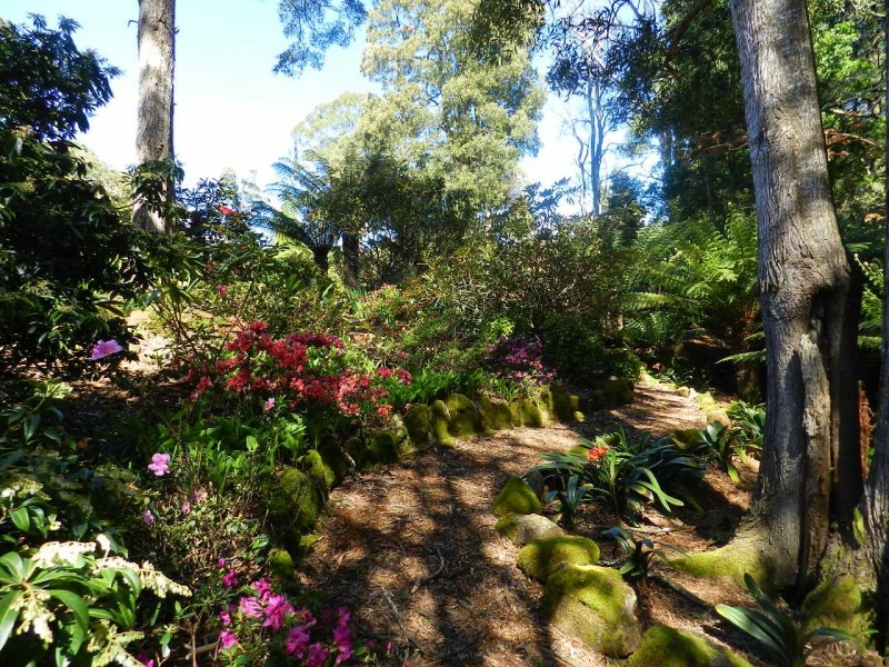 53 Locketts Road, Oldina TAS 7325
