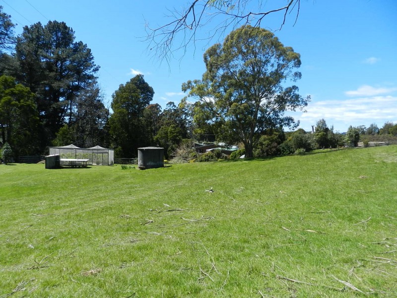 53 Locketts Road, Oldina TAS 7325
