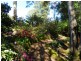 53 Locketts Road, Oldina TAS 7325