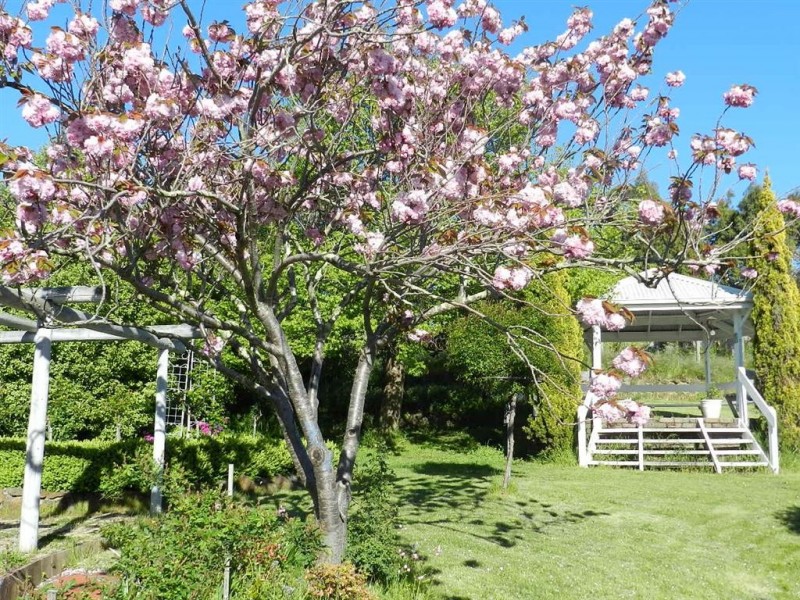 25 Arthur Street, Somerset TAS 7322