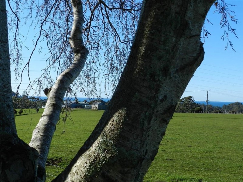 238 Seabrook Road, Somerset TAS 7322