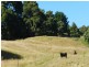 236 South Elliott Road, Elliott TAS 7325