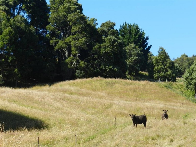 236 South Elliott Road, Elliott TAS 7325