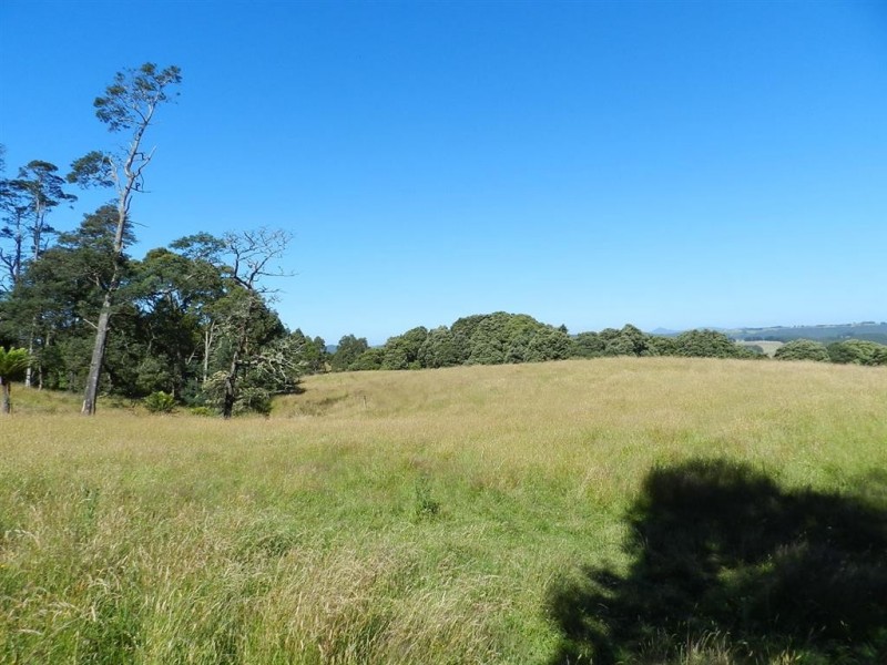 236 South Elliott Road, Elliott TAS 7325