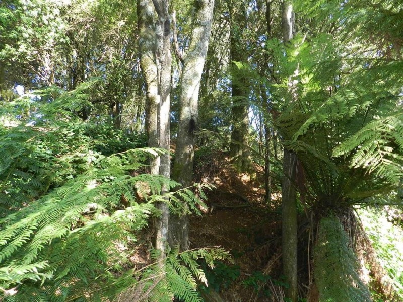 236 South Elliott Road, Elliott TAS 7325