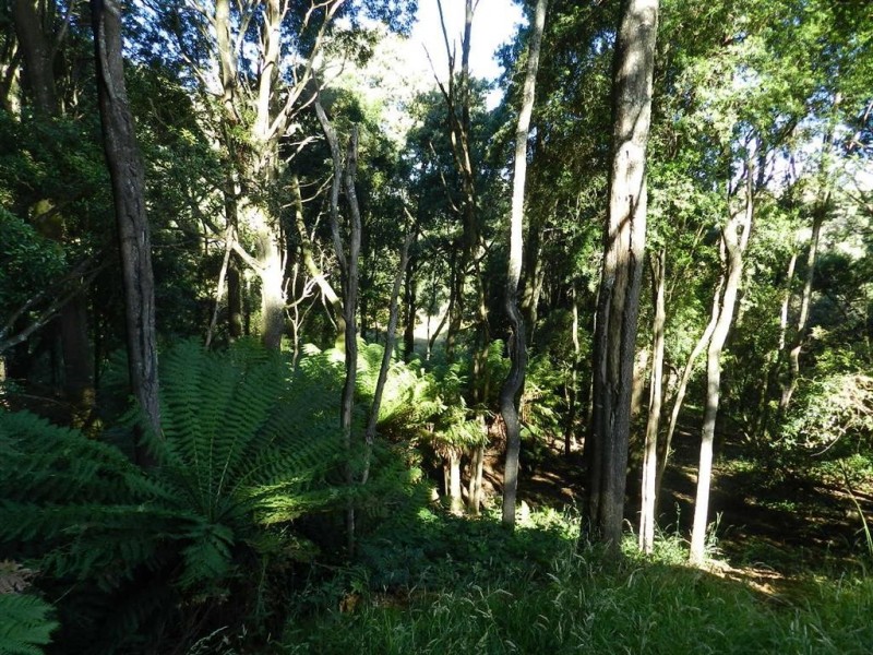 236 South Elliott Road, Elliott TAS 7325