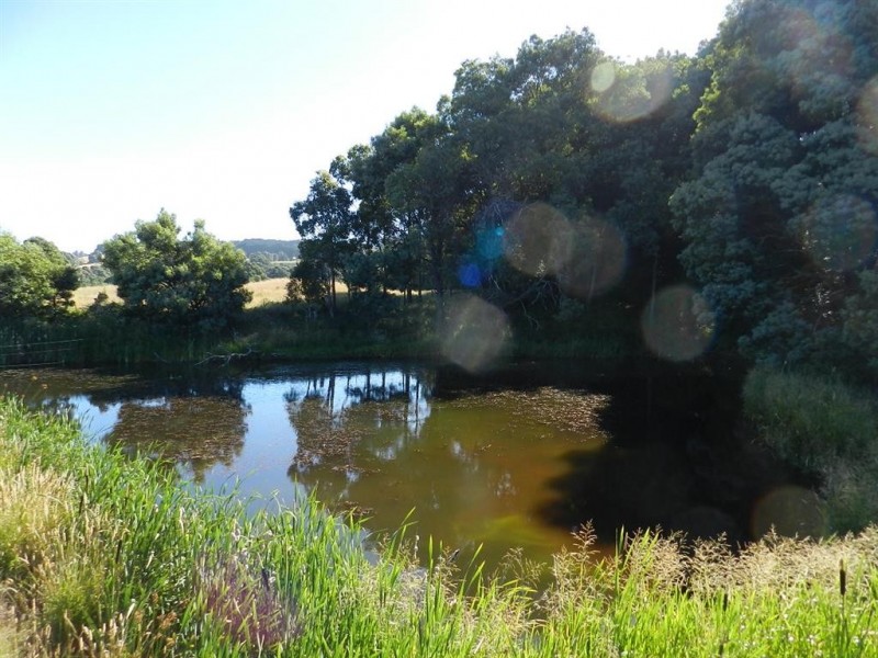 236 South Elliott Road, Elliott TAS 7325