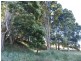 236 South Elliott Road, Elliott TAS 7325