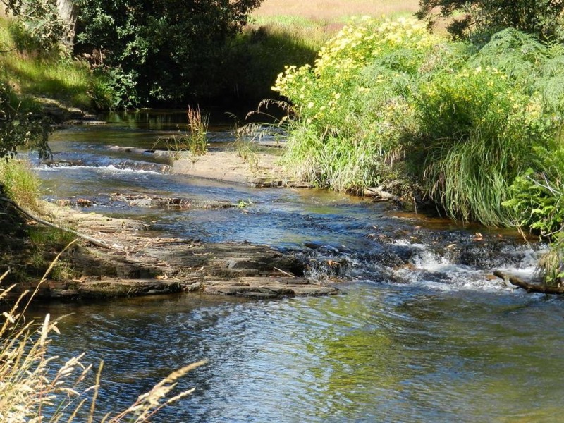 710 Takone Road, Takone TAS 7325