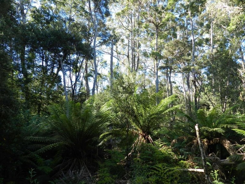 710 Takone Road, Takone TAS 7325