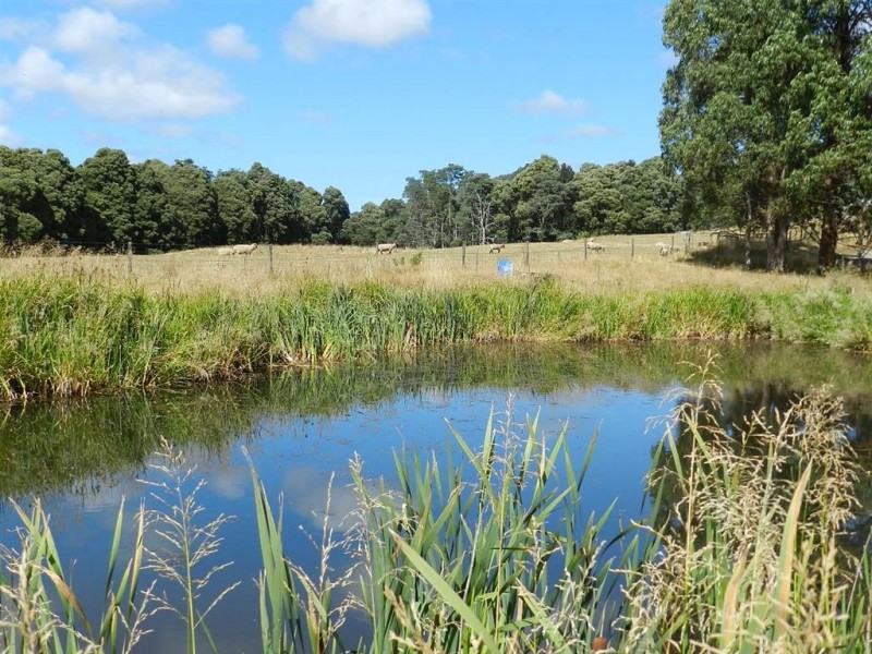 61 St Marys Road, Tewkesbury TAS 7321