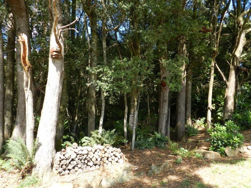 61 St Marys Road, Tewkesbury TAS 7321