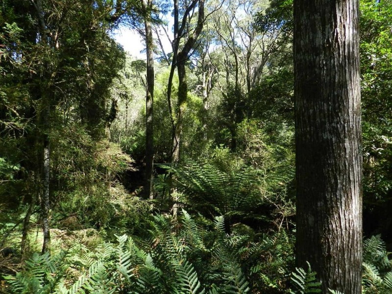 61 St Marys Road, Tewkesbury TAS 7321