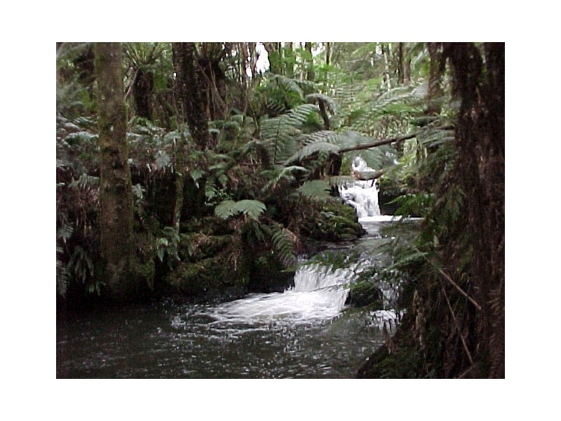 61 St Marys Road, Tewkesbury TAS 7321