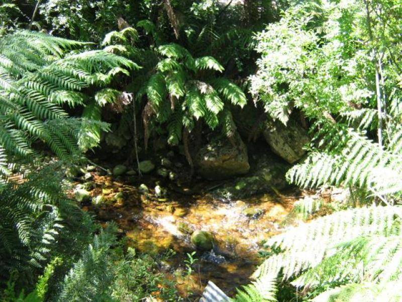 11 Mary Street, Queenstown TAS 7467