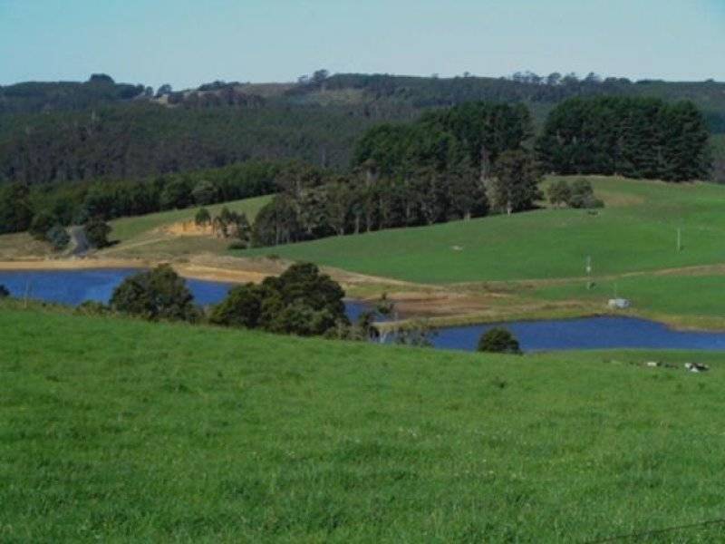 473 West Ridgley Road, West Ridgley TAS 7321