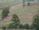 281 Camena Road, Natone TAS 7321