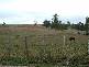 281 Camena Road, Natone TAS 7321