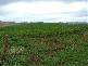 281 Camena Road, Natone TAS 7321