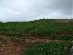 281 Camena Road, Natone TAS 7321