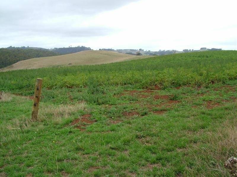 249 Camena Road, Natone TAS 7321