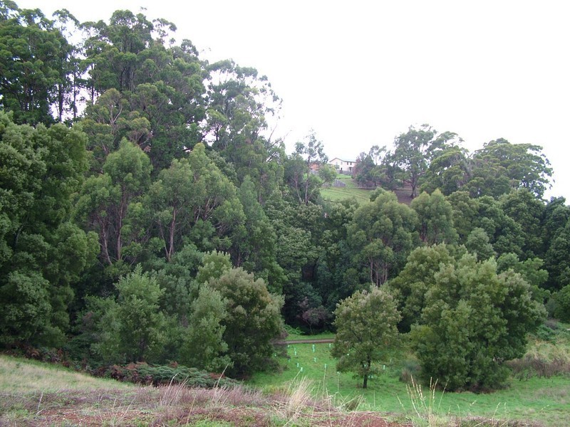 27 Dowling Drive, Burnie TAS 7320