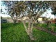 19 Deacon Street, Burnie TAS 7320