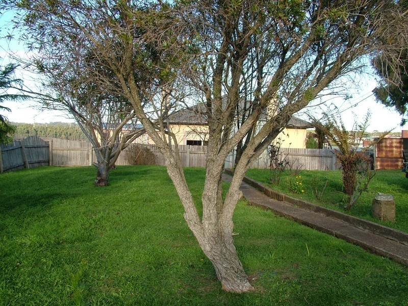 19 Deacon Street, Burnie TAS 7320