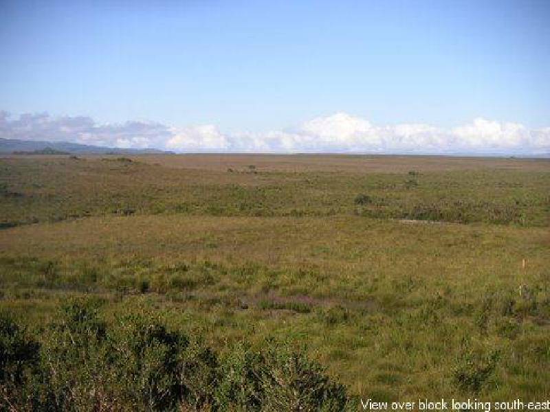 Mill Bay (Smugglers Cove), Strahan TAS 7468