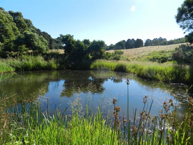 348 South Elliott Road, Elliott TAS 7325