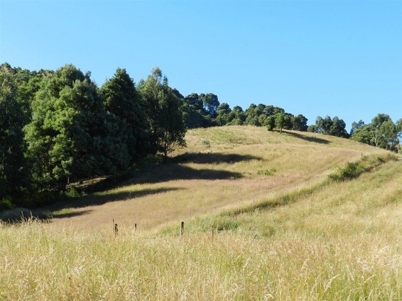 348 South Elliott Road, Elliott TAS 7325