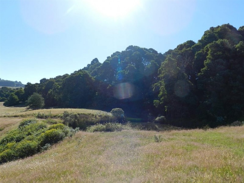 348 South Elliott Road, Elliott TAS 7325