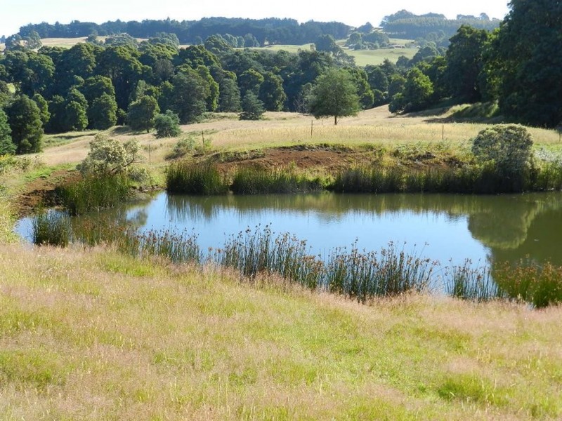 348 South Elliott Road, Elliott TAS 7325